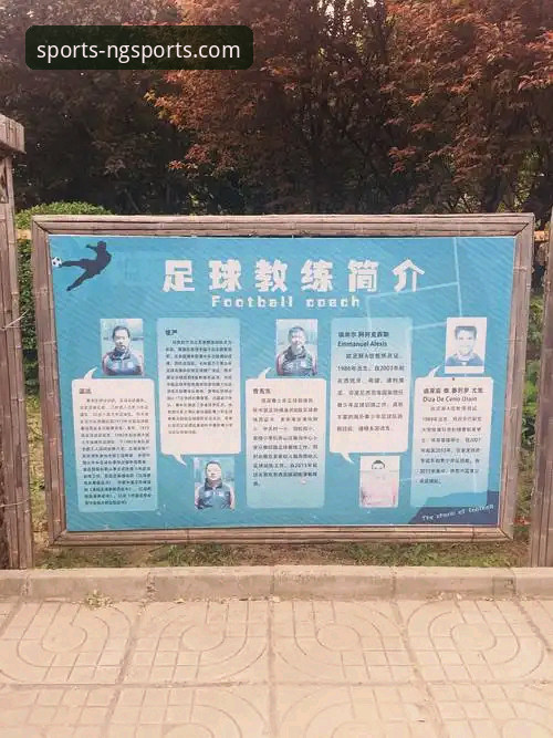南宫体育网页版 南宫体育网页版使用教程:从下载到深度数据解析的全流程指南