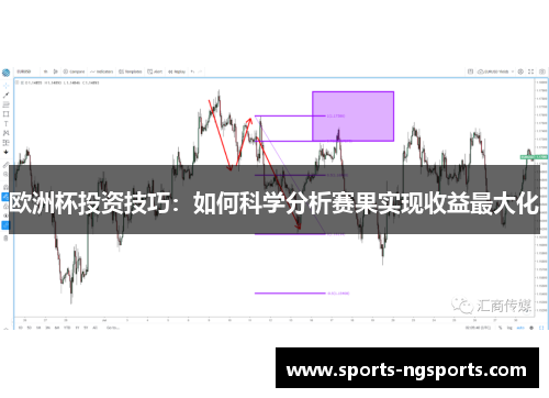 欧洲杯投资技巧：如何科学分析赛果实现收益最大化