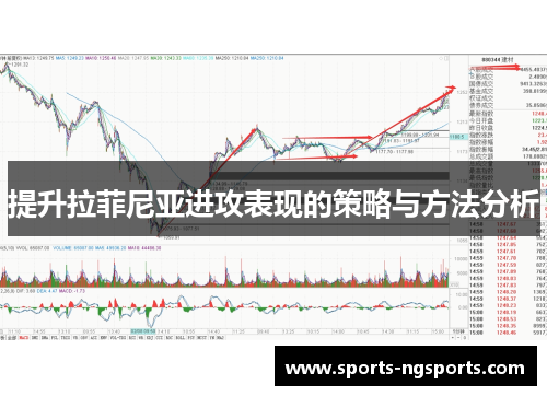 提升拉菲尼亚进攻表现的策略与方法分析